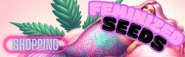 Feminized Seed