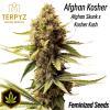 Afghan Kosher© Fem