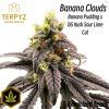 Banana Clouds© Fem