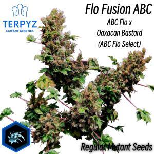 Flo Fusion ABC © Mutant Reg