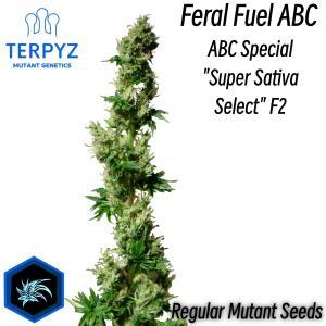 Feral Fuel ABC© Mutant Reg