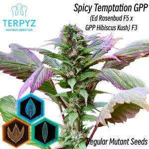 Spicy Temptation GPP© Mutant Reg