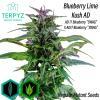 Blueberry Lime Kush© Mutant Reg