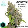 Sour Curry AD© Mutant Reg