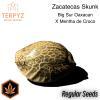 Zacatecas Skunk© Semi F1 Reg