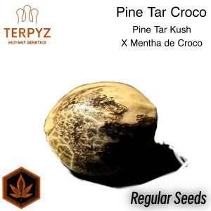 Pine Tar Croco© True F1 Reg