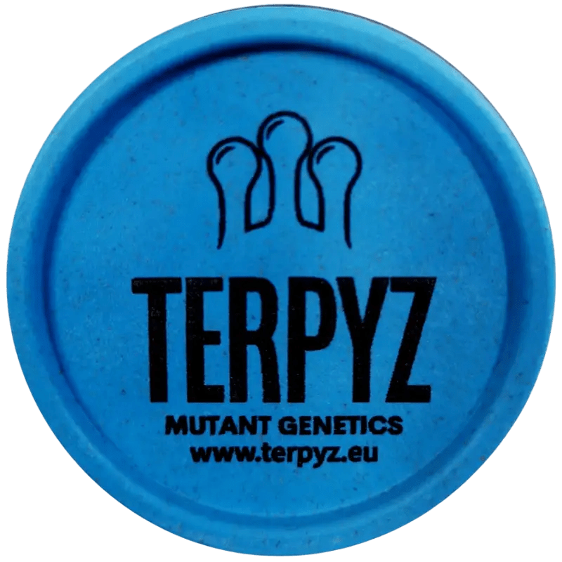 #TerpyZ