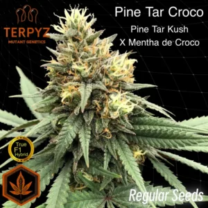 Pine Tar Croco© True F1 Reg