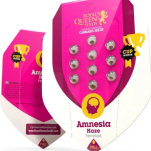 Amnesia Haze RQS - Feminisiert - Cannabissamen