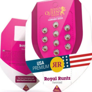 Royal Runtz RQS - Feminisiert - Cannabissamen