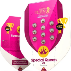 Special Queen 1 RQS - Feminisiert - Cannabissamen