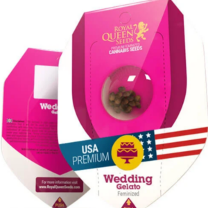 Wedding Gelato RQS - Feminisiert - Cannabissamen